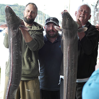 Conger Eel