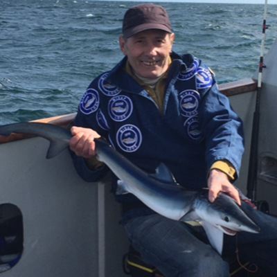 Blue Shark